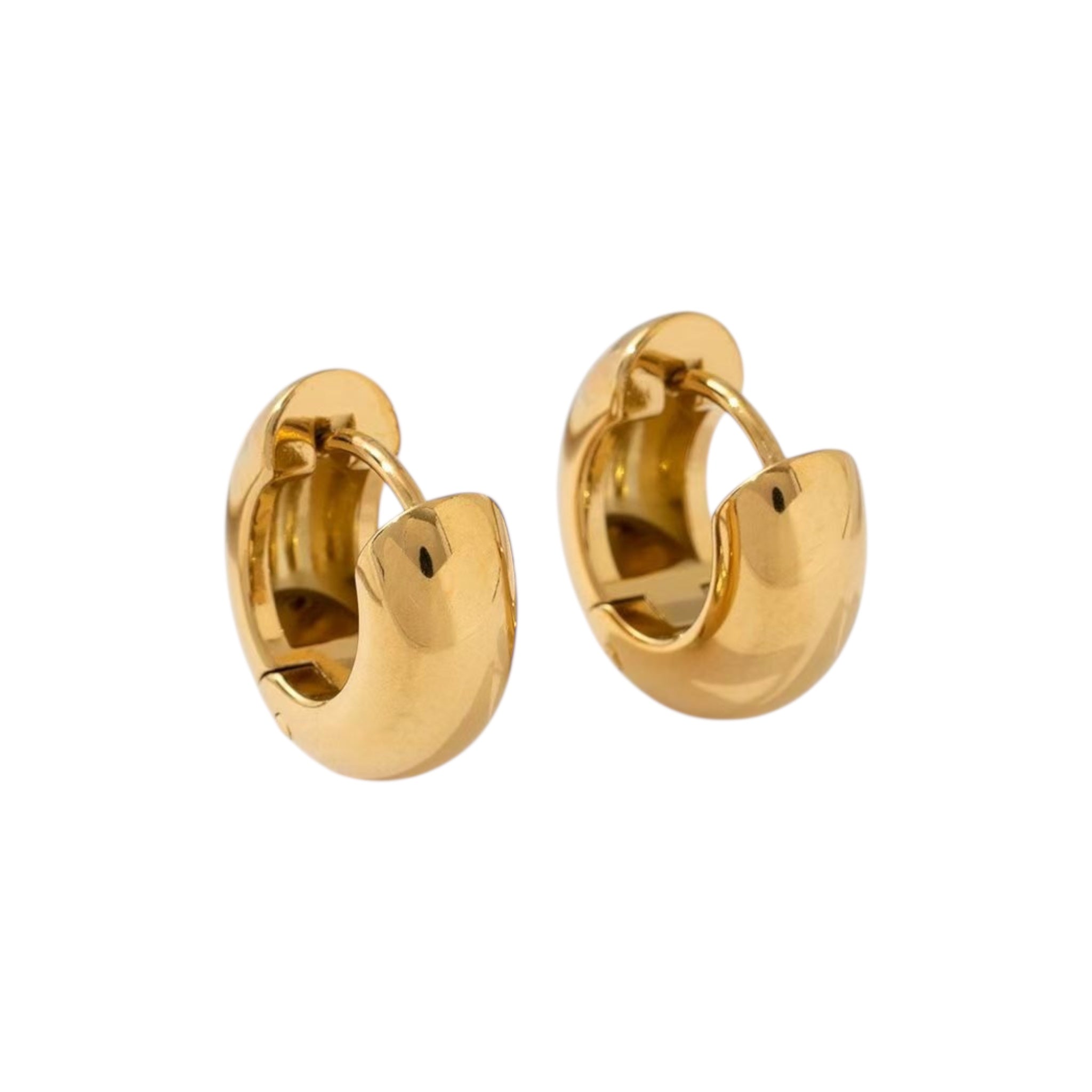 Basic Chunky Hoops Earring