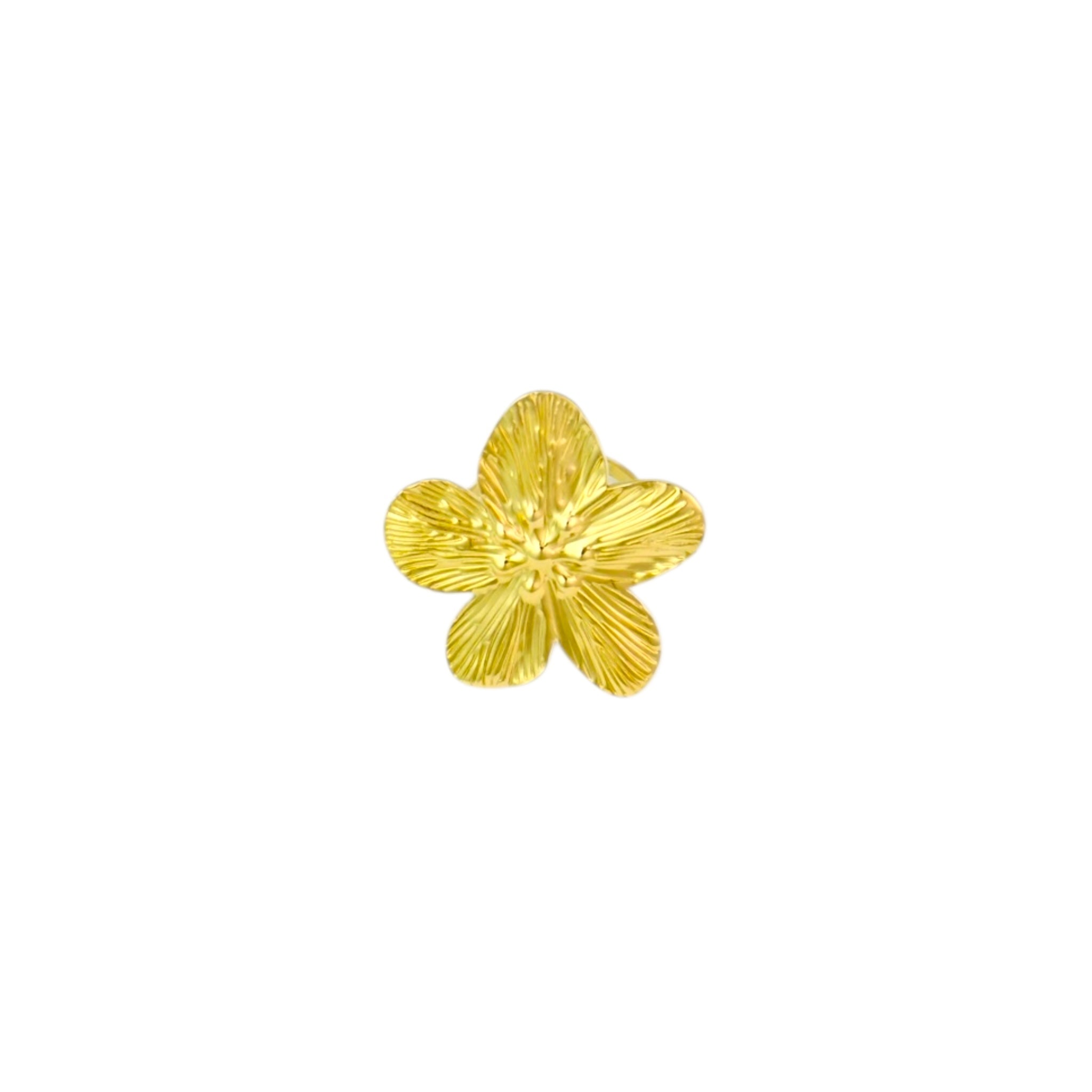 Zara ring