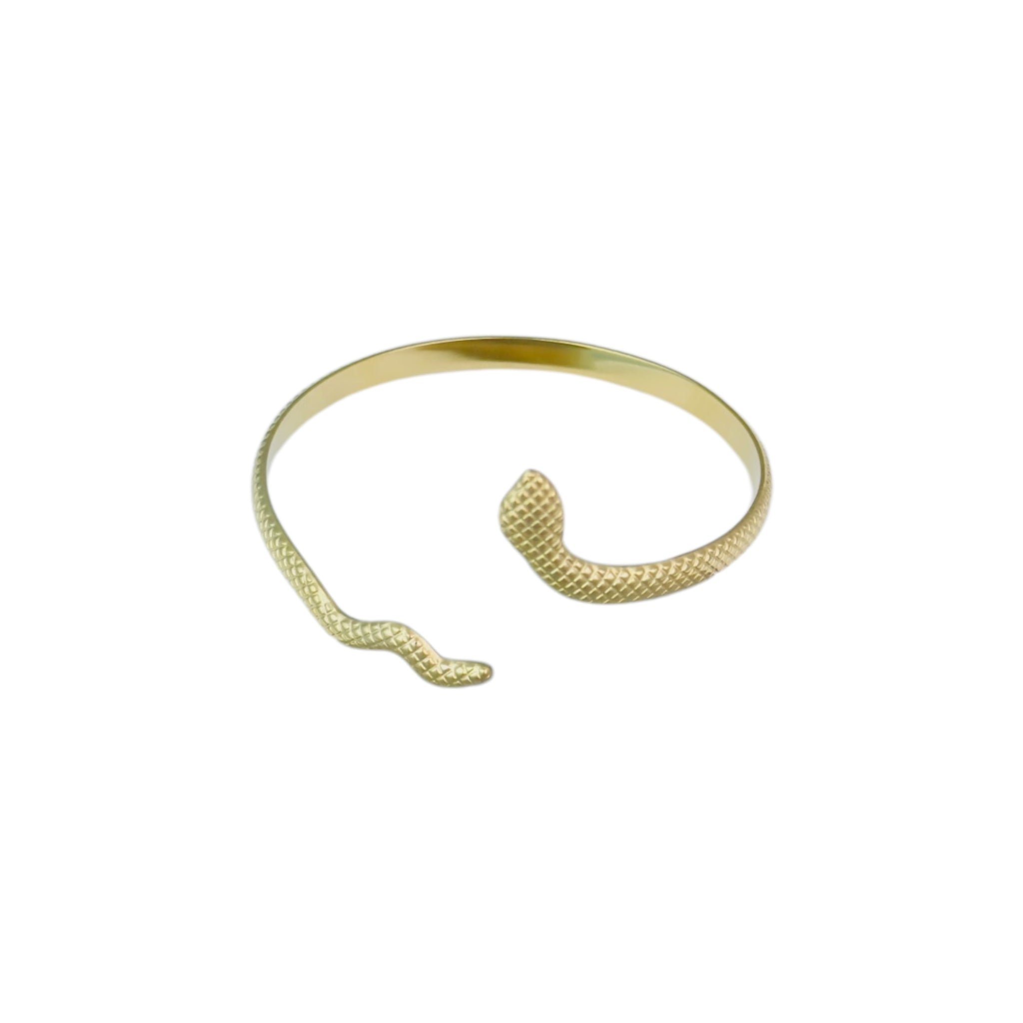 Snakey bangle
