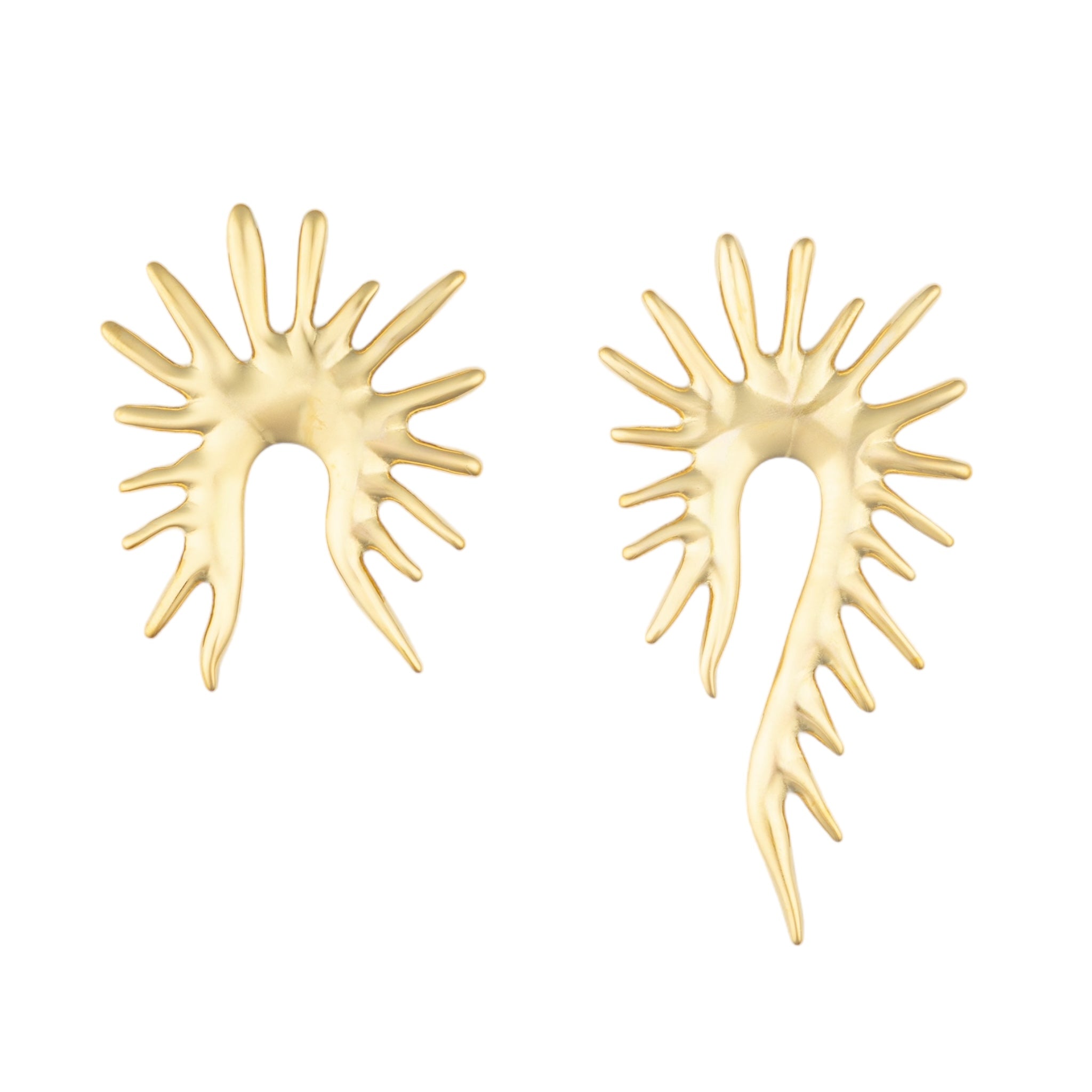 Spike Earrings