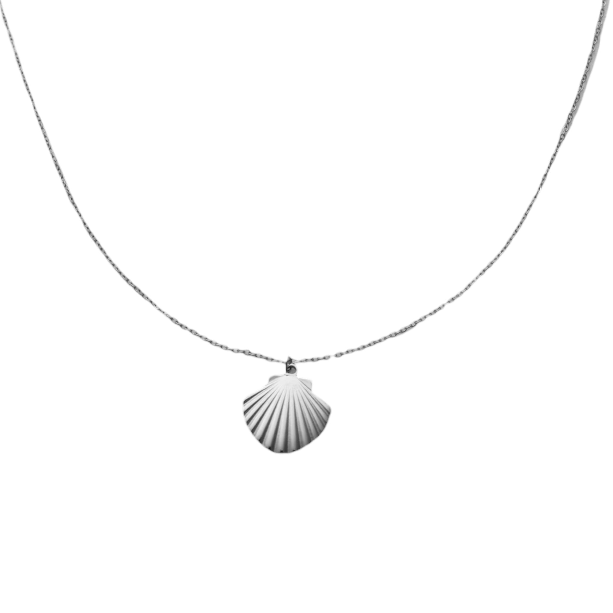 Simple shell necklace