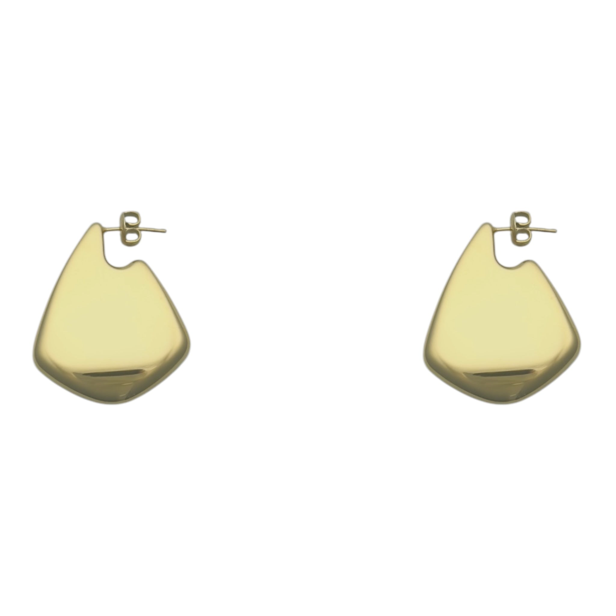 Sleek earrings