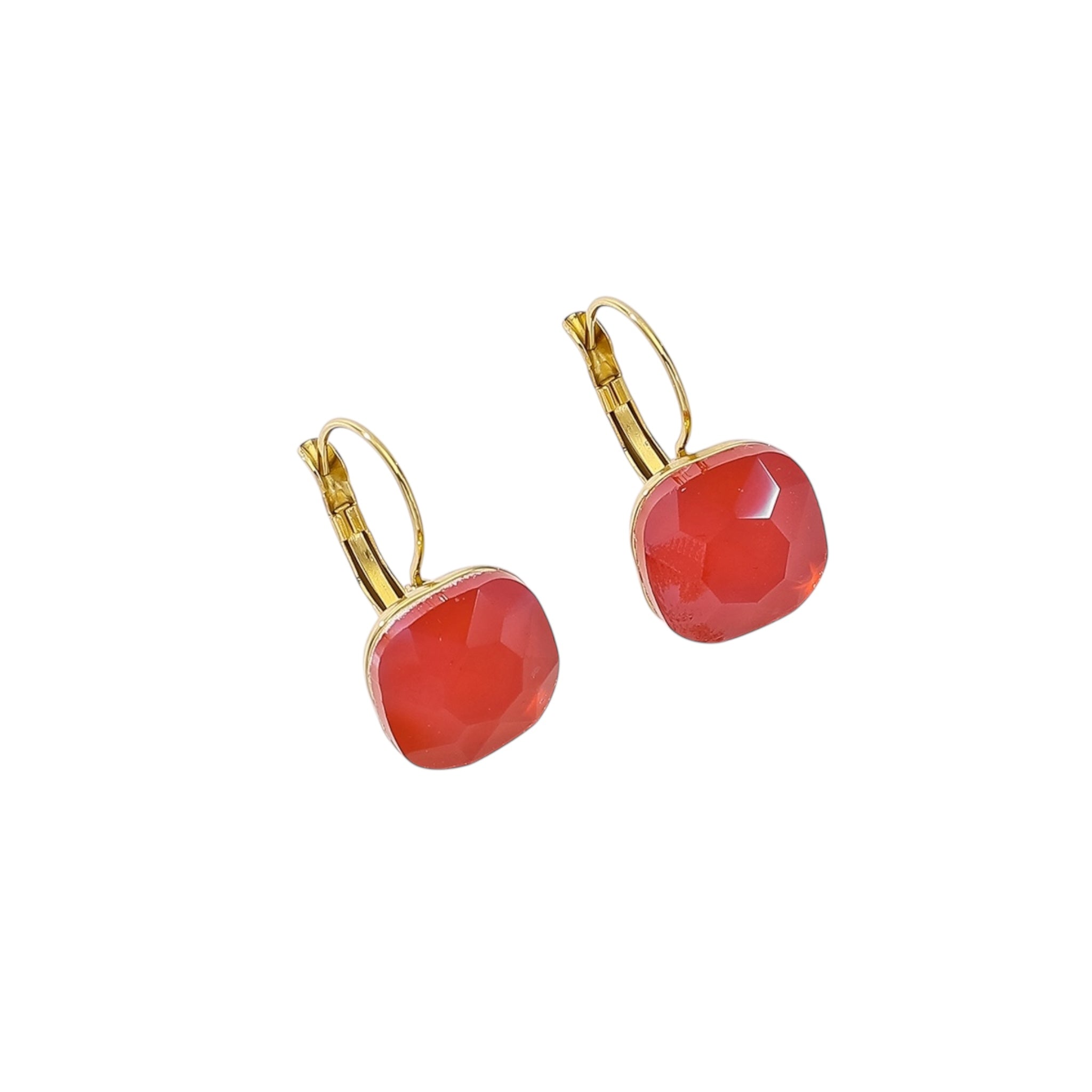Happy stone hangers oorbellen