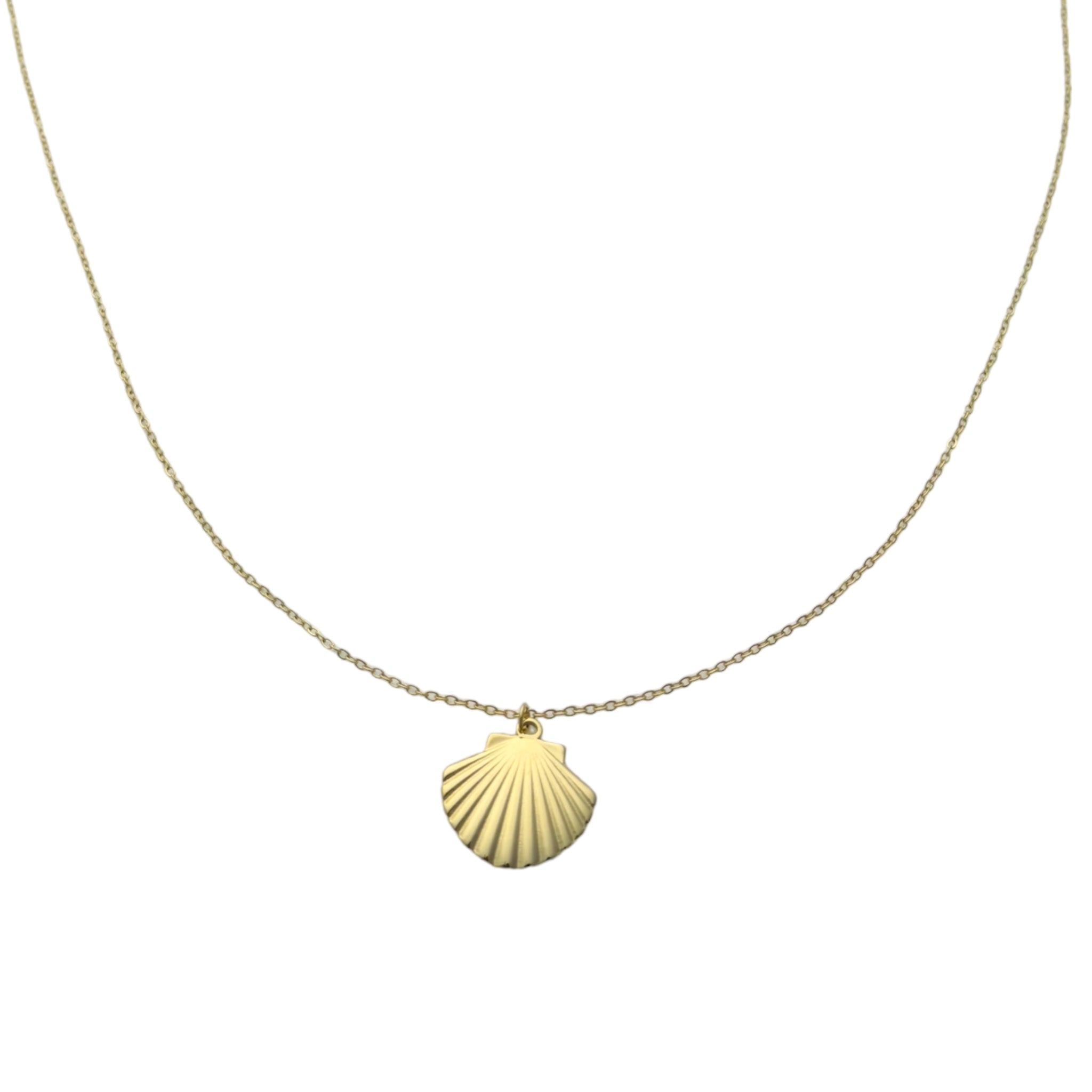 Simple shell necklace