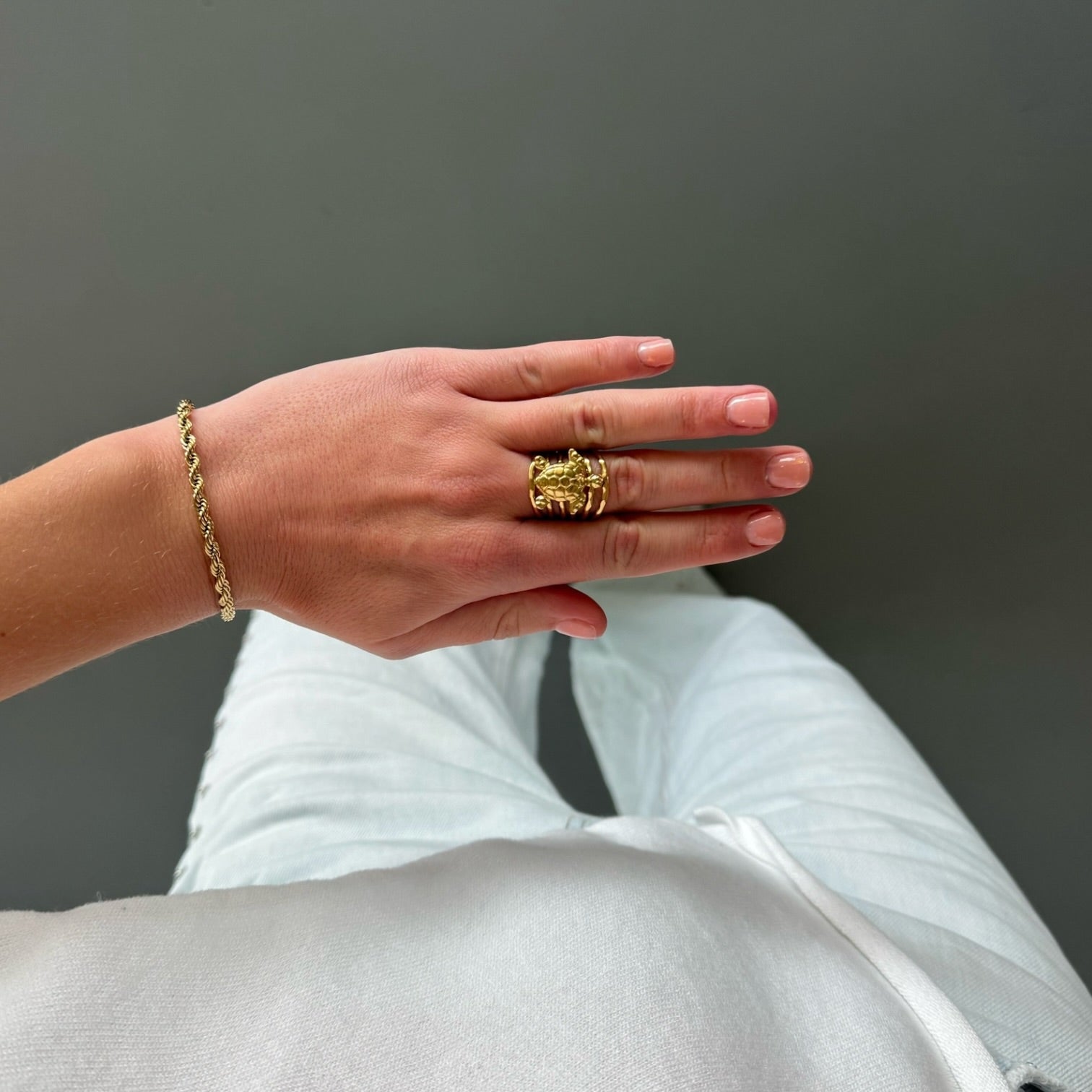 Turtle ring