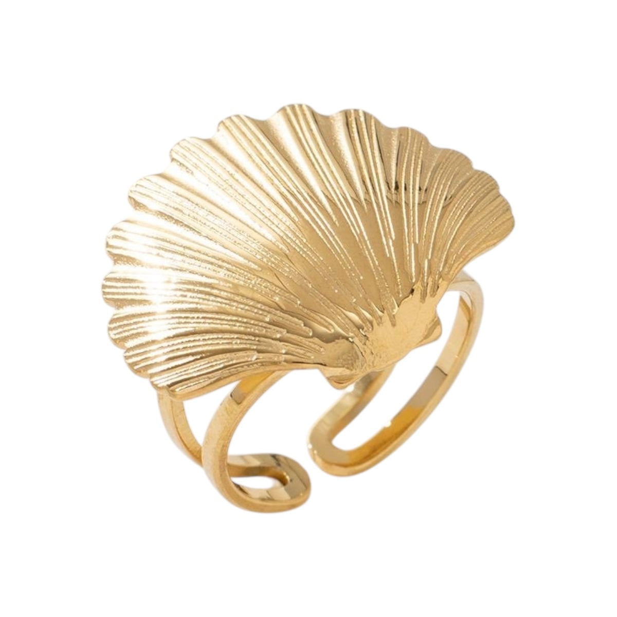 Shell ring