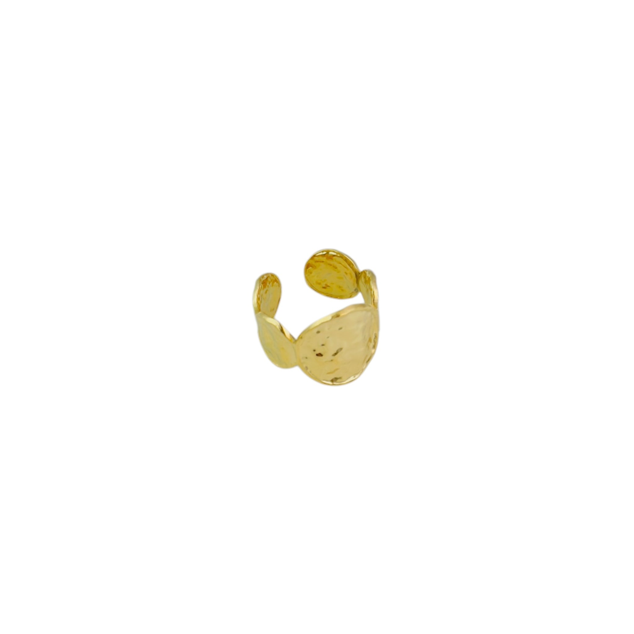Spijker ring