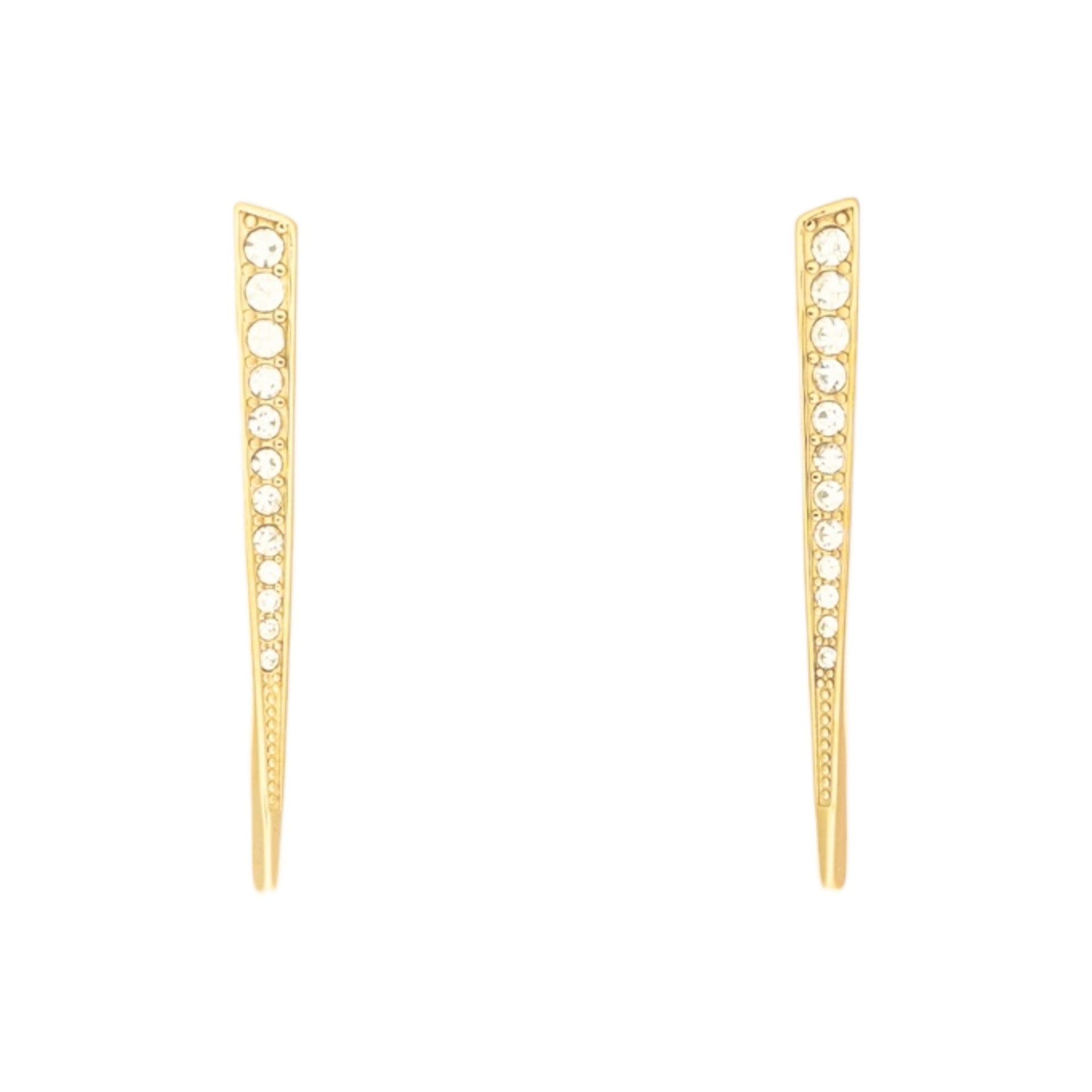 Stainless steel Spikes Earring